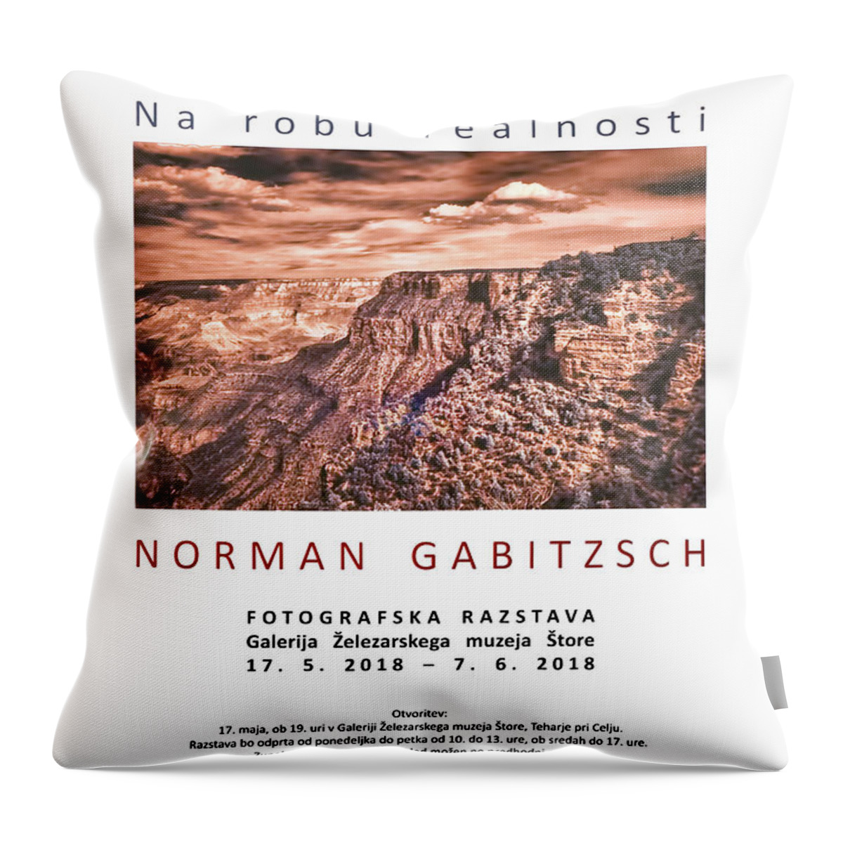Fine Art Throw Pillow featuring the photograph The Edge Of Reality by Norman Gabitzsch