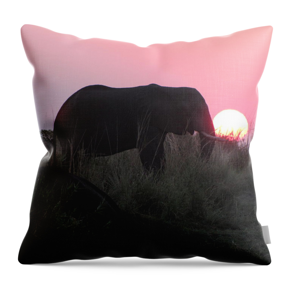Elephant Throw Pillow featuring the photograph The Elephant and the Sun by David Bader