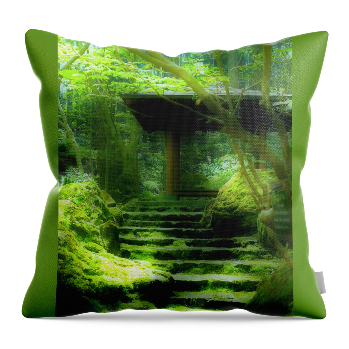 Green Throw Pillow featuring the photograph The Emerald Stairs by Tim Ernst