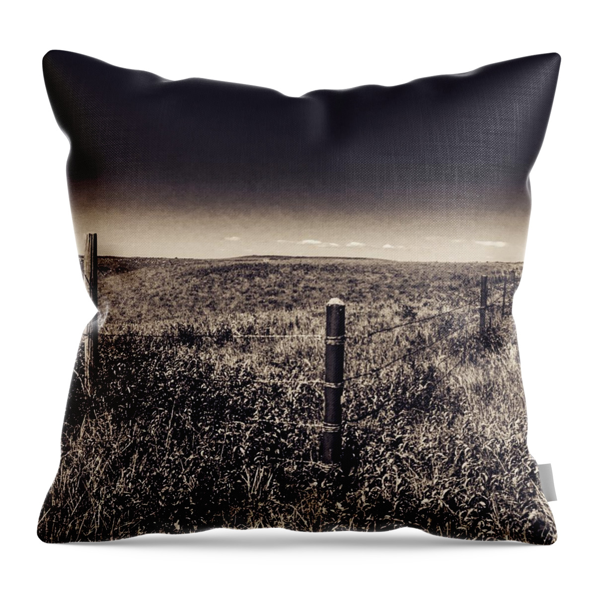 Konza Throw Pillow featuring the digital art The End of the Range by Michael Oceanofwisdom Bidwell