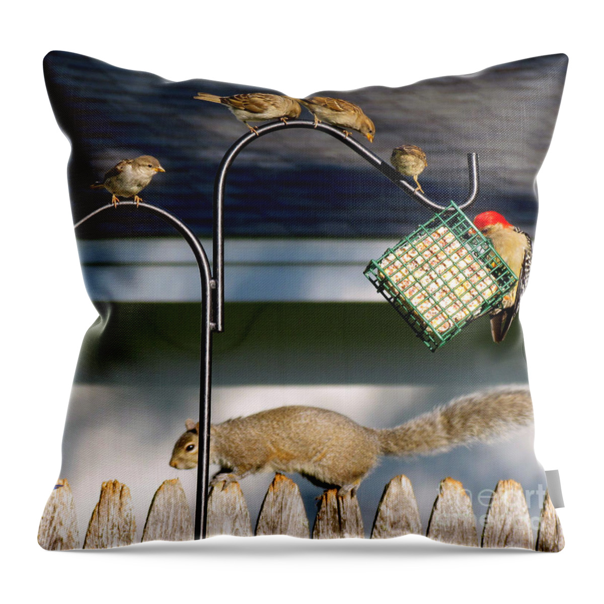Birds Throw Pillow featuring the photograph The Epitome of Patience and Sharing by Lori Lafargue