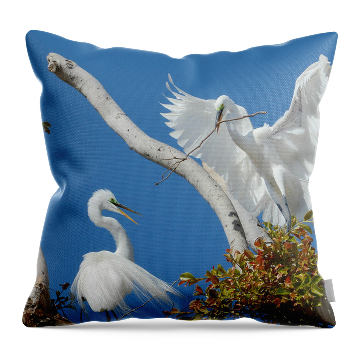 Ardea Alba Throw Pillow featuring the photograph The Exchange 2 by Fraida Gutovich