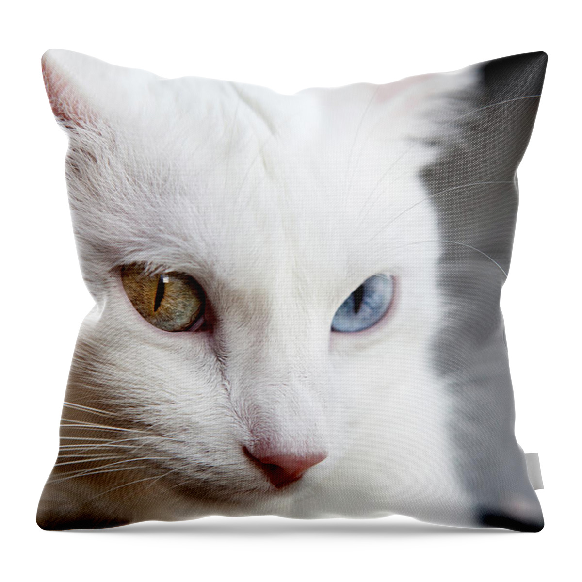 Jorgemaiaphotographer Throw Pillow featuring the photograph The eyes by Jorge Maia