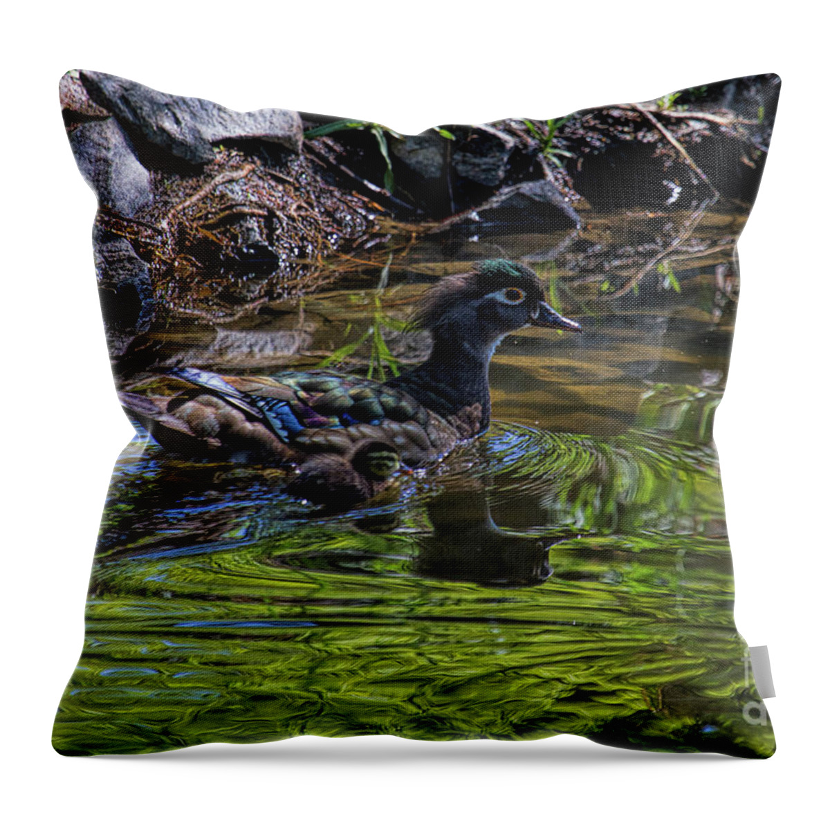 Wood Ducks Throw Pillow featuring the photograph The Emerald Aisle by Jim Garrison