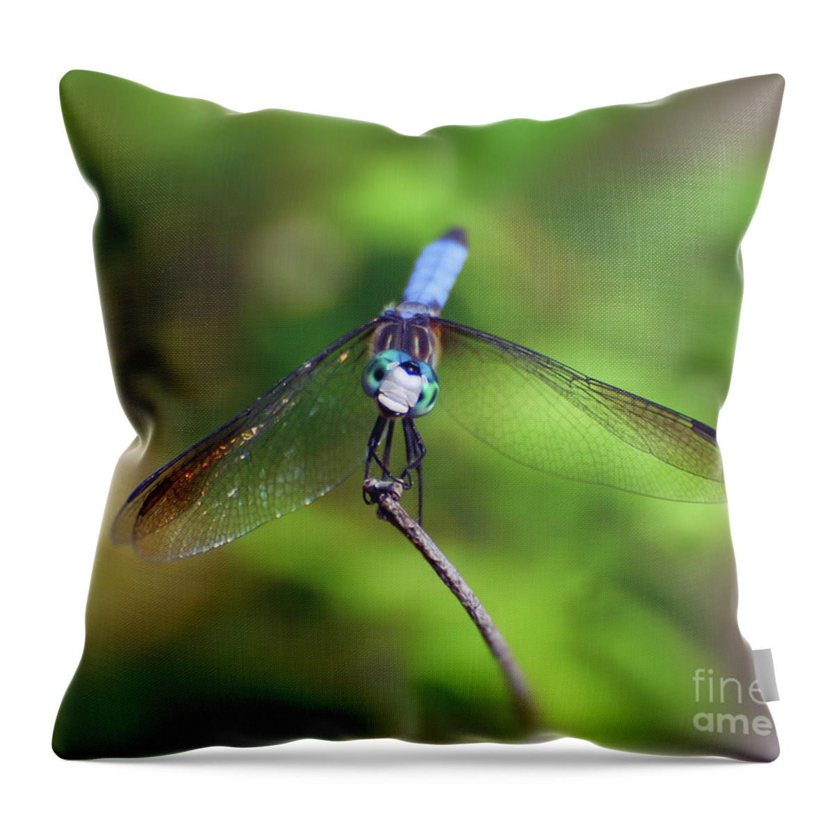 Dragonfly Throw Pillow featuring the photograph The Face of a Dragon by Kerri Farley