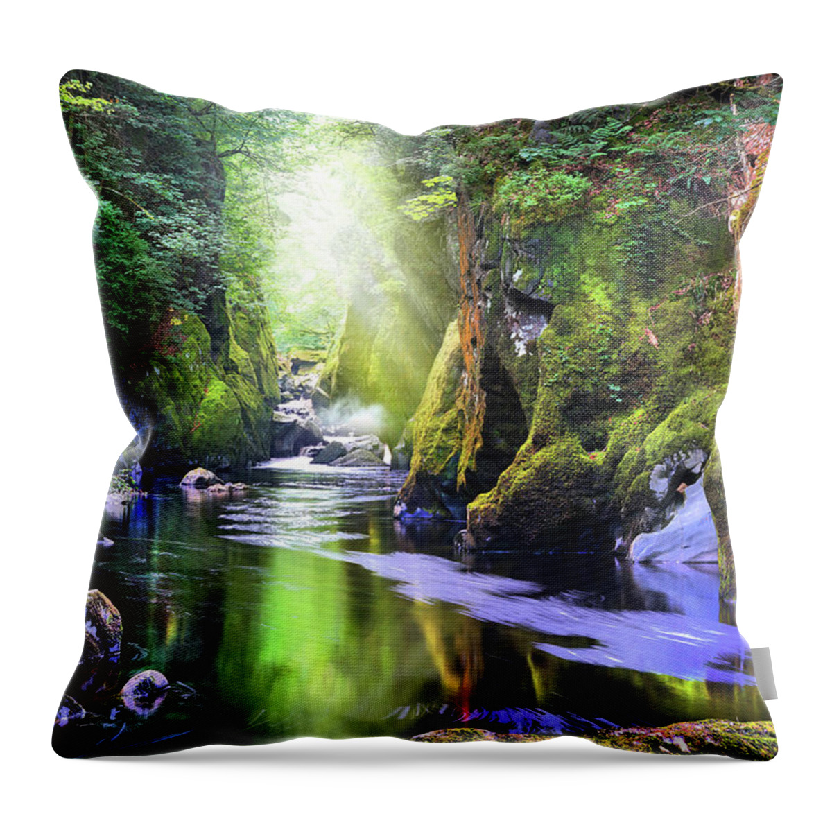 Gorge Throw Pillow featuring the photograph The Fairy Glen Gorge River Conwy by Mal Bray