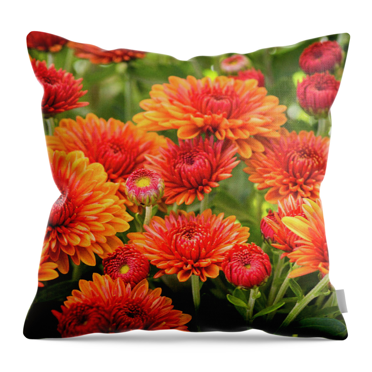 Red Throw Pillow featuring the photograph The Fall Bloom by Bill Pevlor