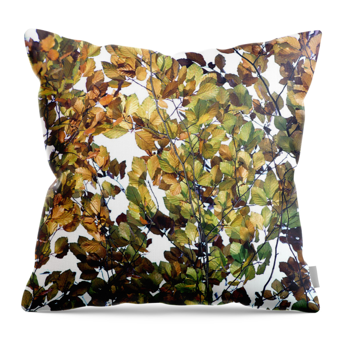 Autumn Throw Pillow featuring the photograph The Fall by Rebecca Harman