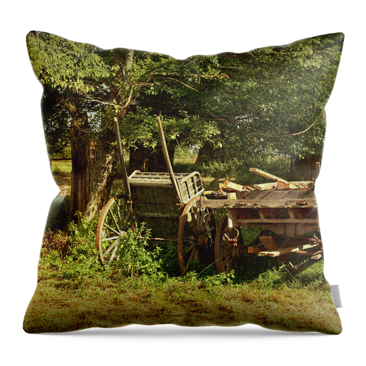 Carts Throw Pillow featuring the photograph The Farmers Carts by Ian Merton