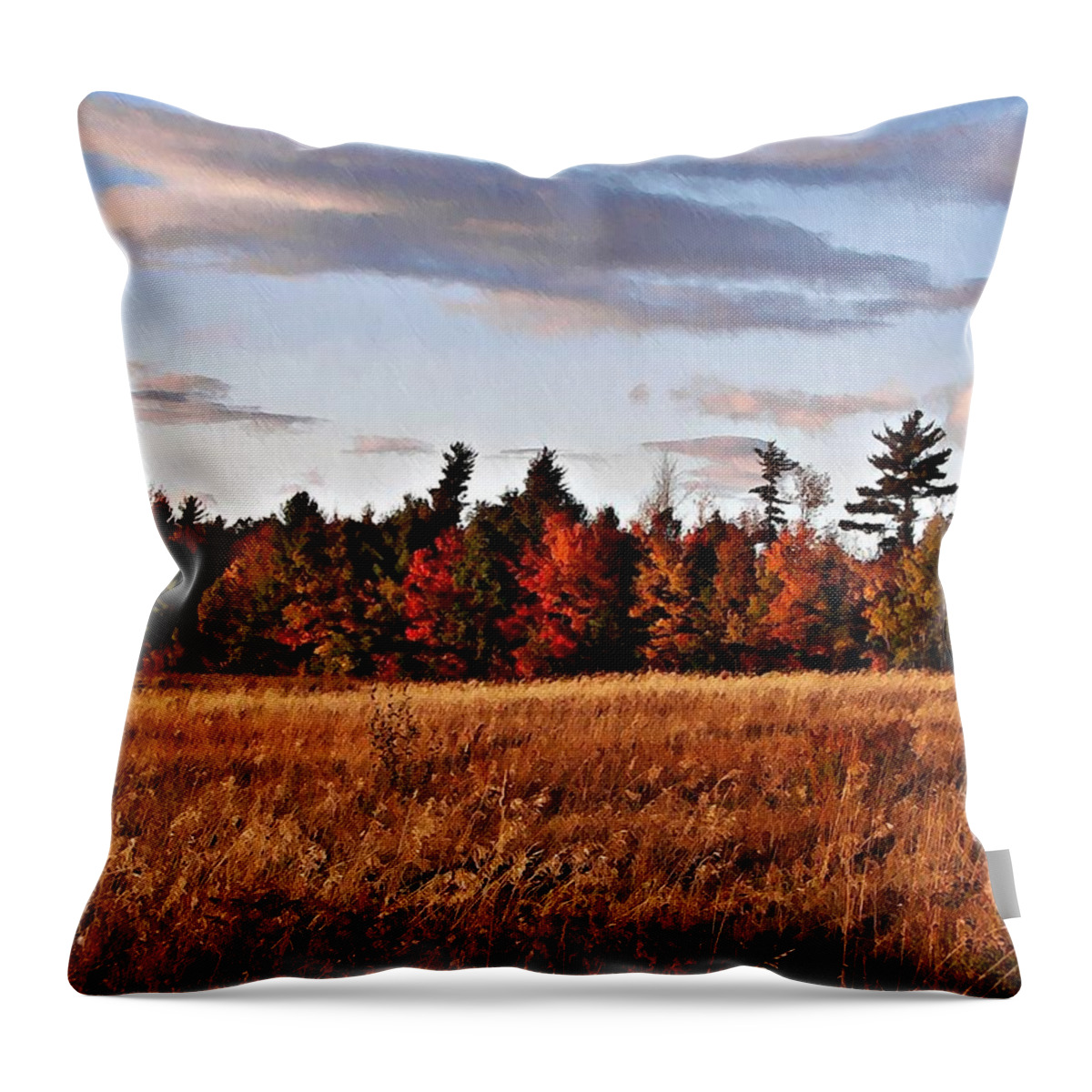 The Field At The Old Farm Throw Pillow featuring the photograph The Field At The Old Farm by Joy Nichols