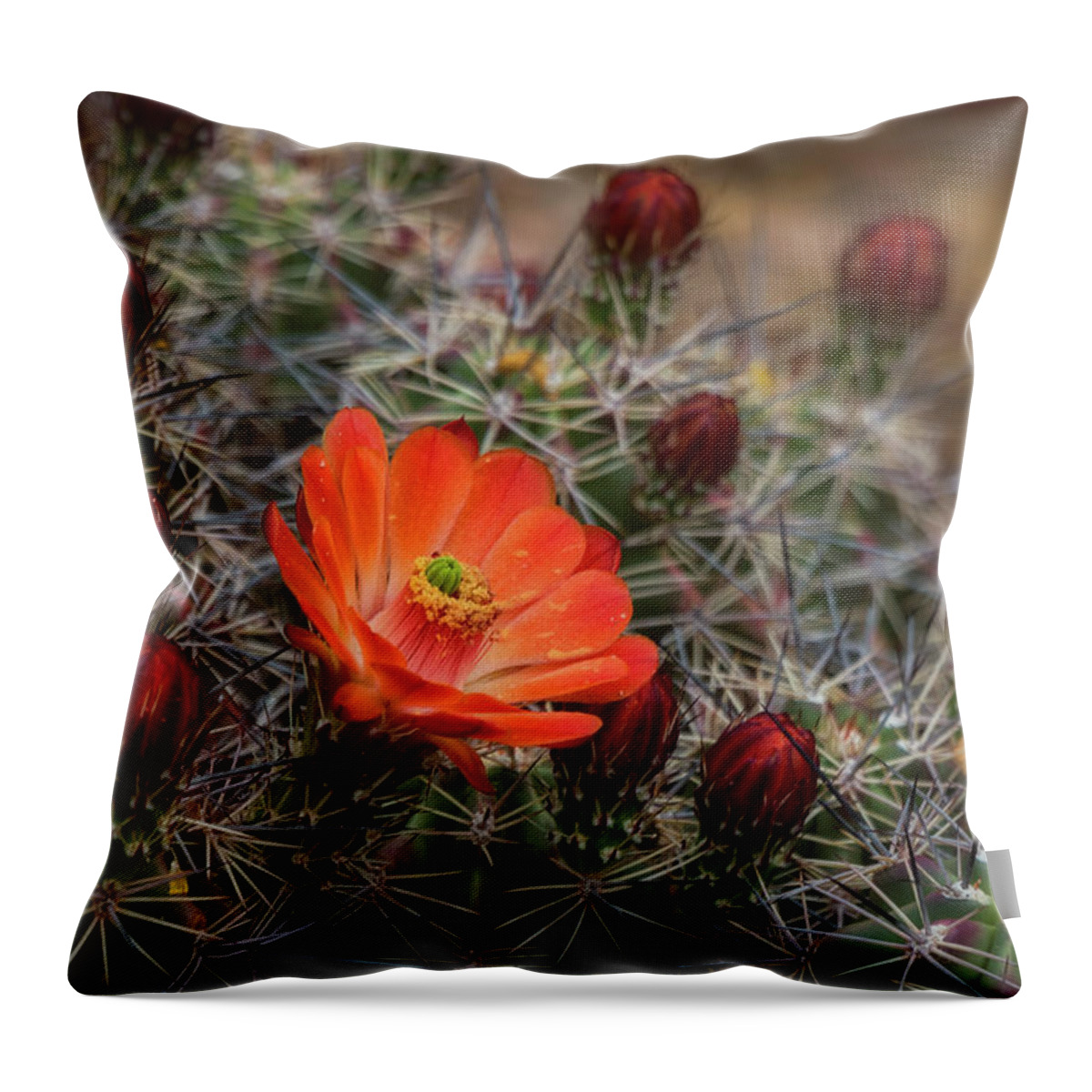Arizona Throw Pillow featuring the photograph The First Bloom by Saija Lehtonen
