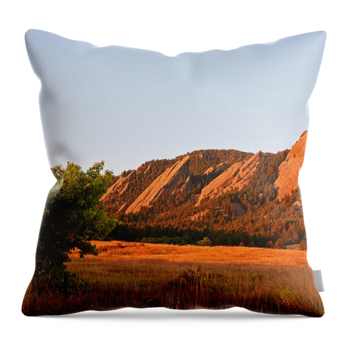 Boulder Throw Pillow featuring the photograph The Flatirons Boulder Colorado from Chautauqua Park Tree by Toby McGuire