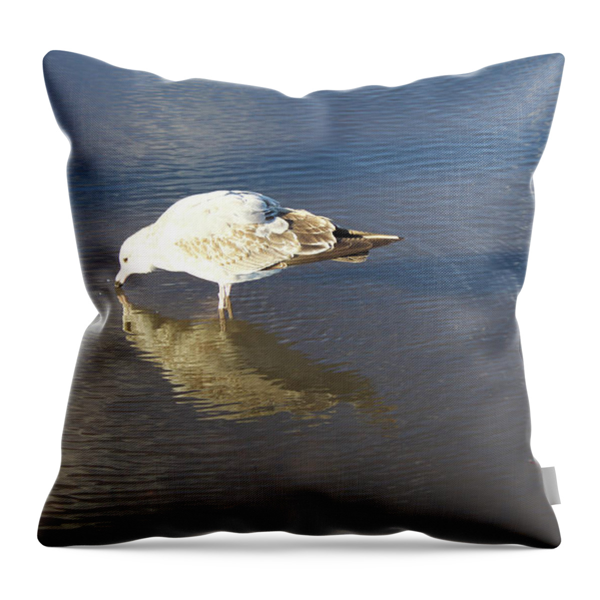 Narcissus Throw Pillow featuring the photograph The Flying Narcissus by Donato Iannuzzi
