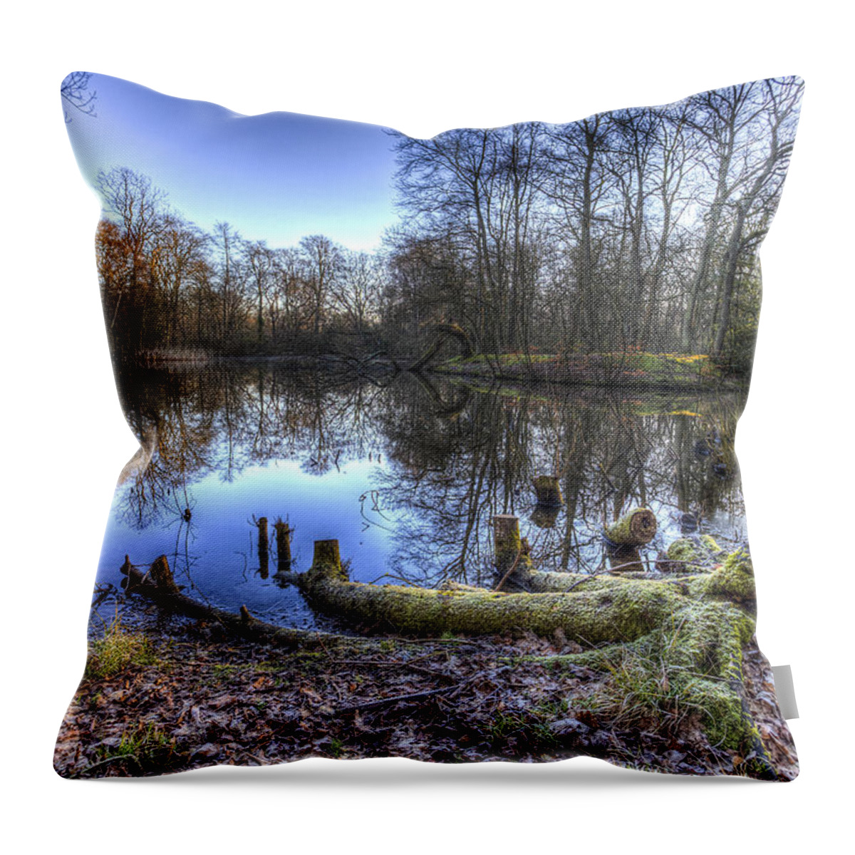 Frost Throw Pillow featuring the photograph The Frosty Morning Pond by David Pyatt