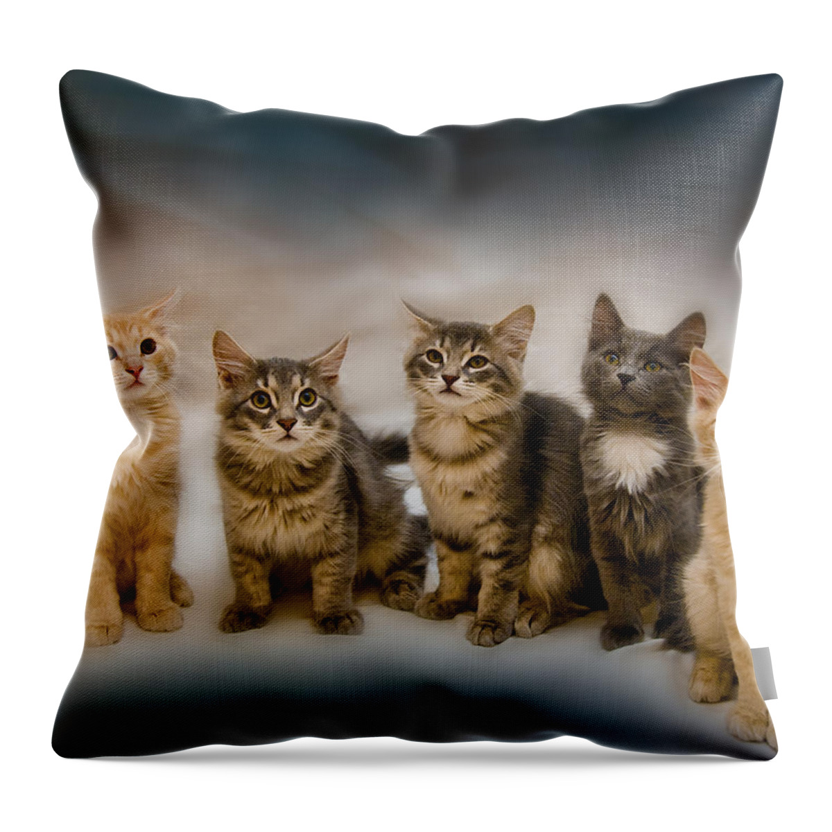 The Gang Throw Pillow featuring the photograph The Gang by Steven Richardson