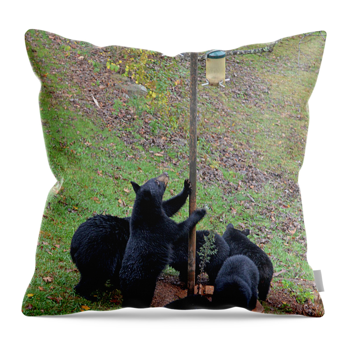 Mammal Throw Pillow featuring the photograph The Gangs All Here by Alan Lenk