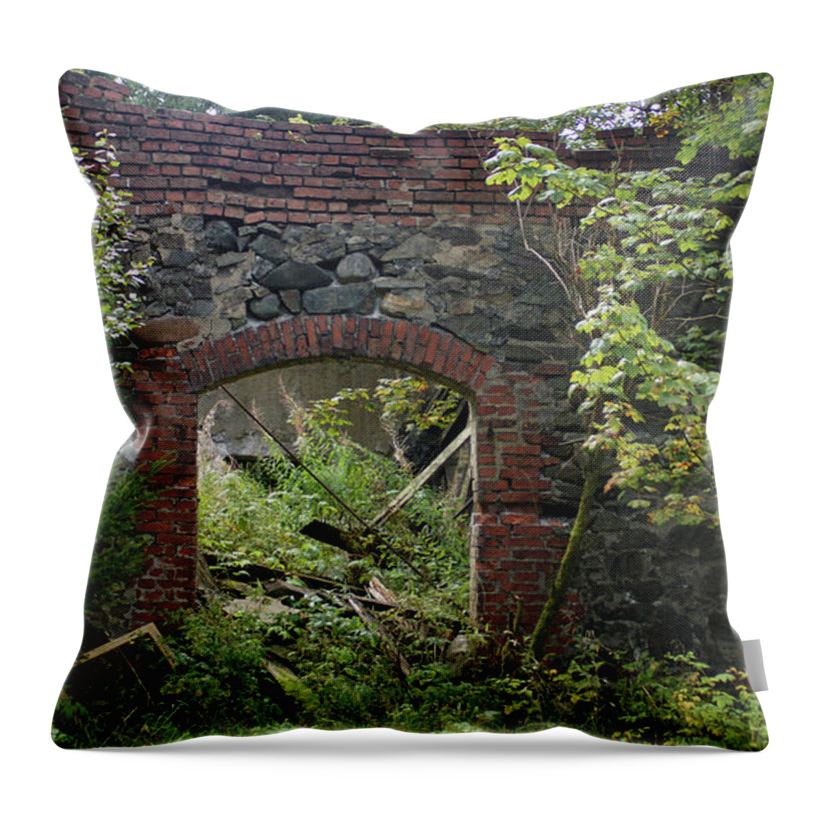 Gate Throw Pillow featuring the photograph The gate into nothingness by Eva-Maria Di Bella