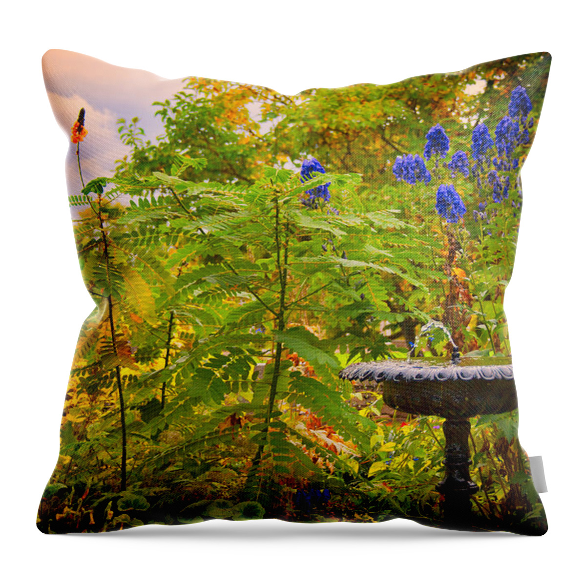 Fountain Throw Pillow featuring the photograph The Gods Look On by Mike Smale