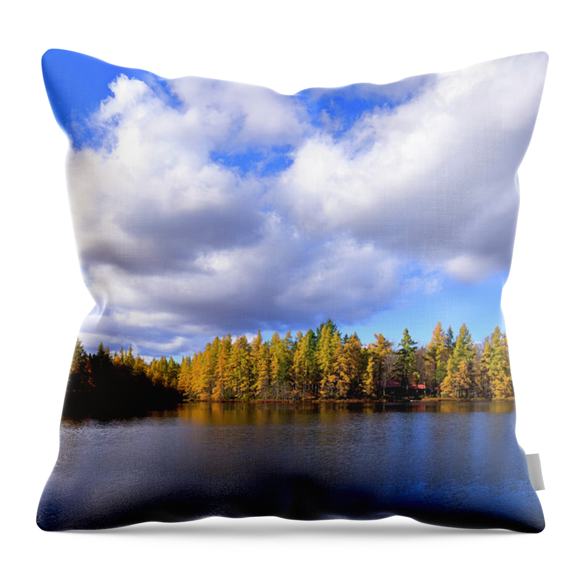 The Golden Forest At Woodcraft Throw Pillow featuring the photograph The Golden Forest at Woodcraft by David Patterson