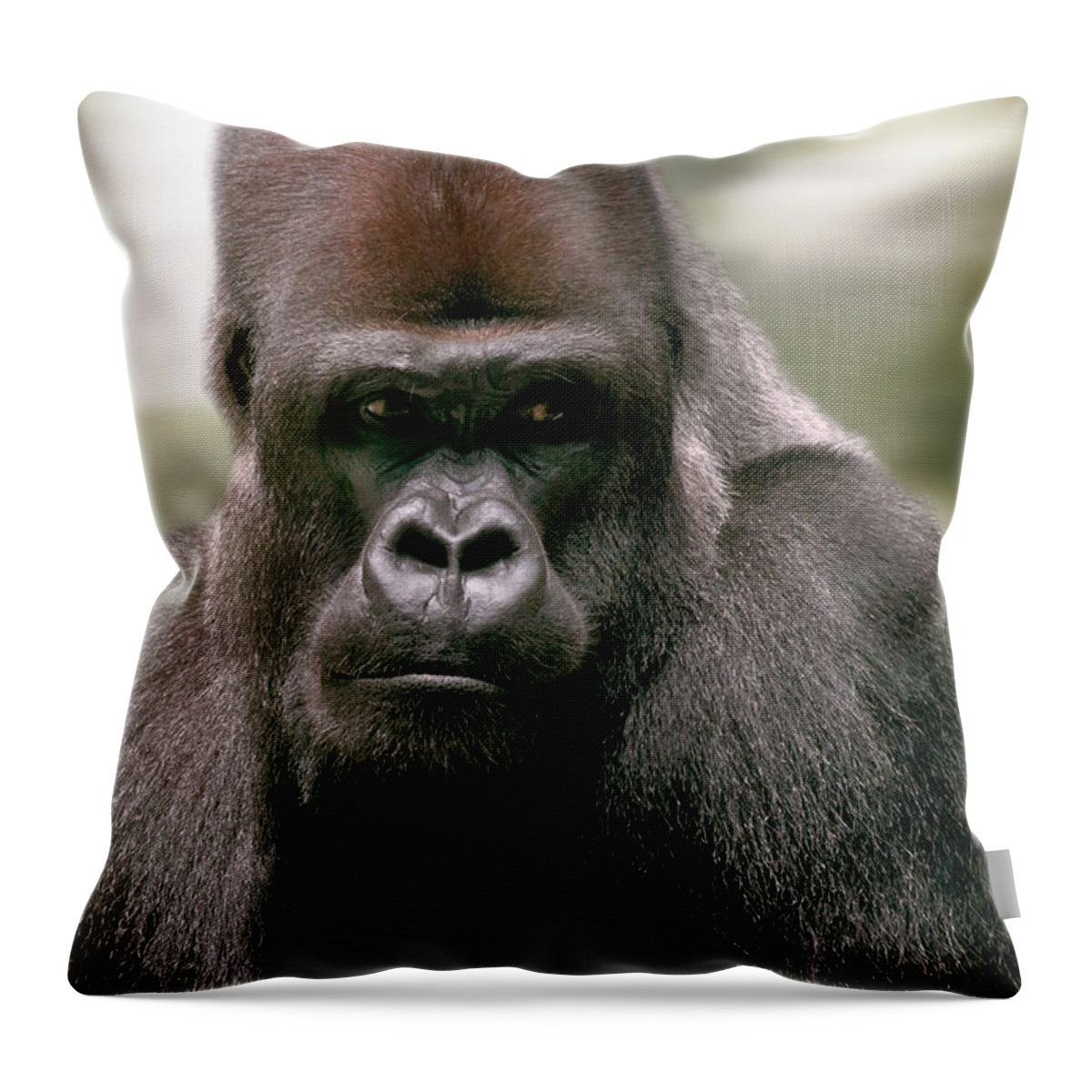 Gorilla Throw Pillow featuring the photograph The Gorilla by Christine Sponchia