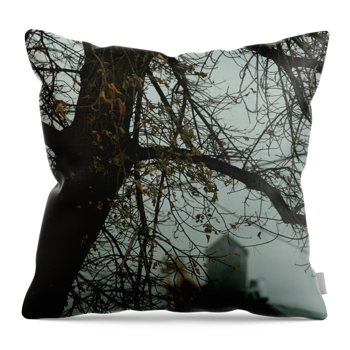 Tree Throw Pillow featuring the photograph The Granary by Linda Shafer