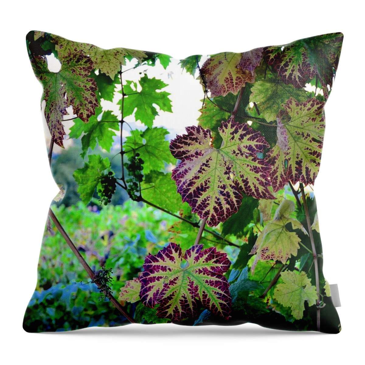 Grapes Throw Pillow featuring the photograph The Grape Vine by Corinne Rhode