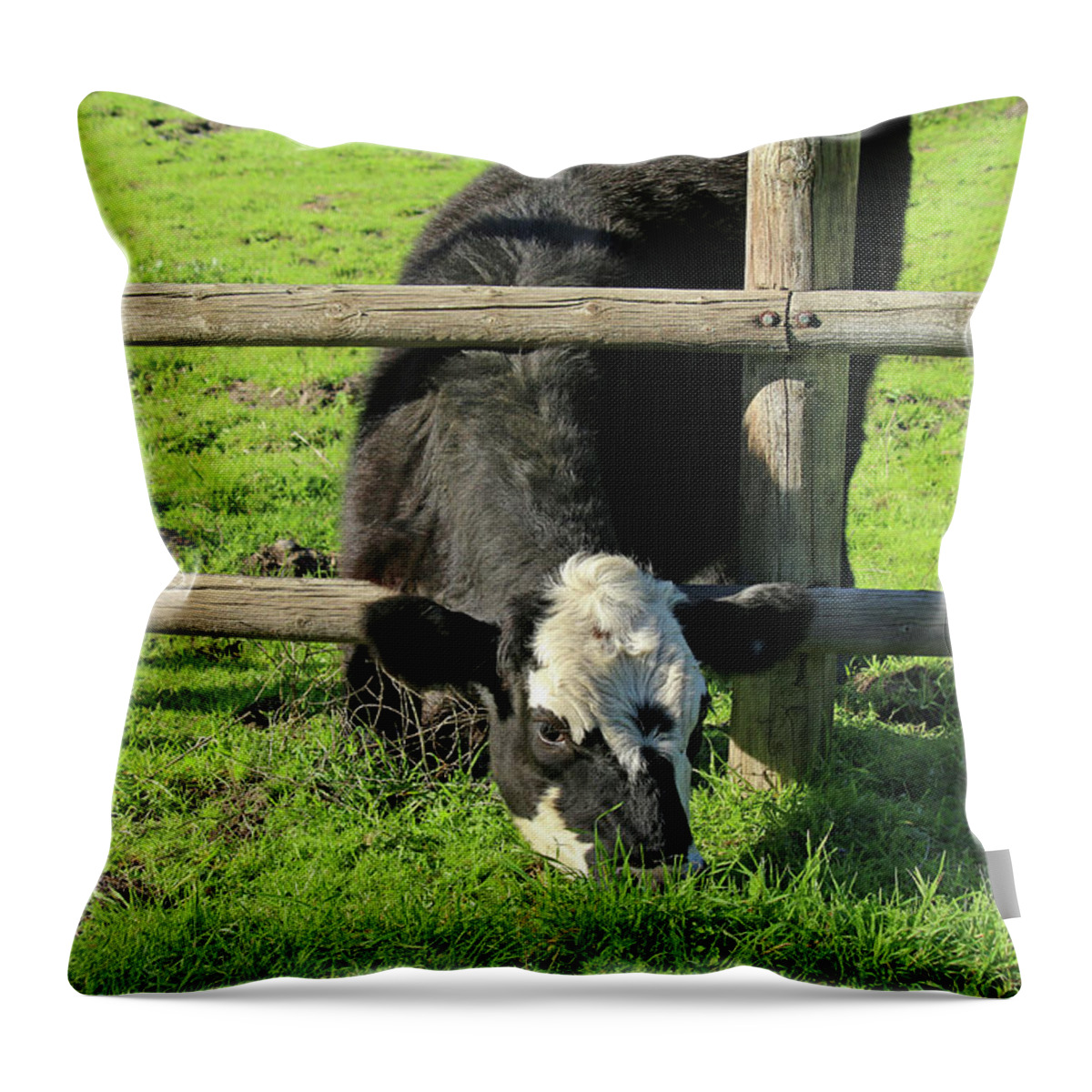 San Luis Obispo County Throw Pillow featuring the photograph The Grass is Always Greener by Art Block Collections