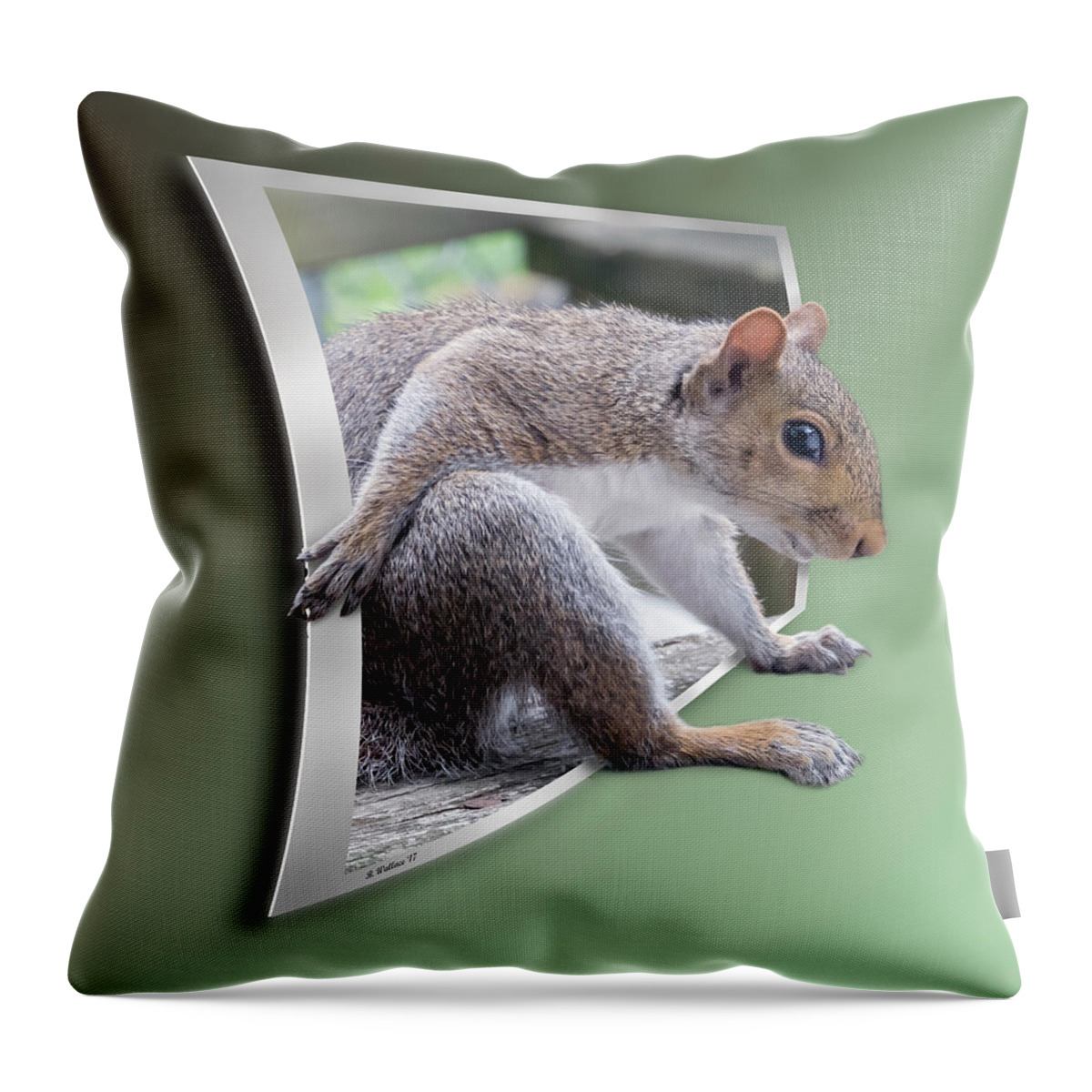 2d Throw Pillow featuring the photograph The Great Escape by Brian Wallace