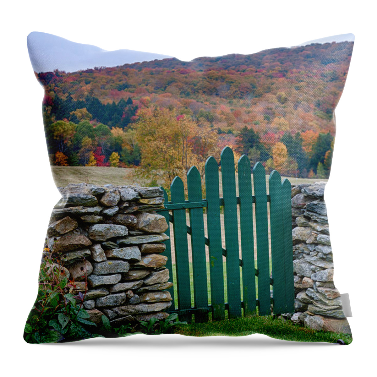 #jefffolger Throw Pillow featuring the photograph The green door in autumn by Jeff Folger