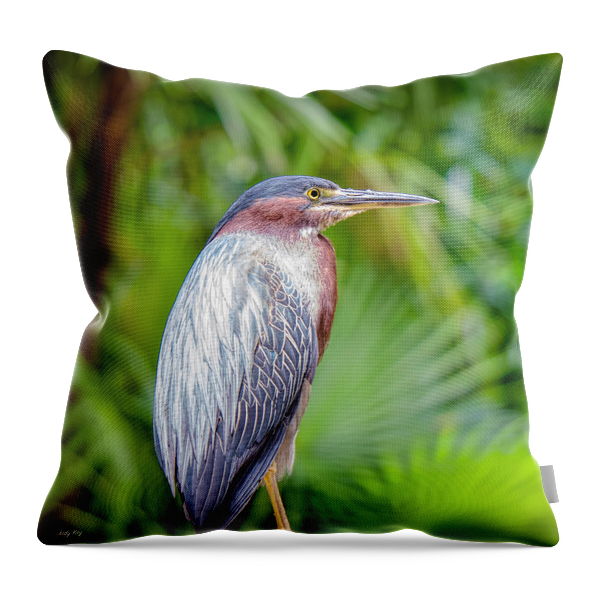 Birds Throw Pillow featuring the photograph The Green Heron by Judy Kay