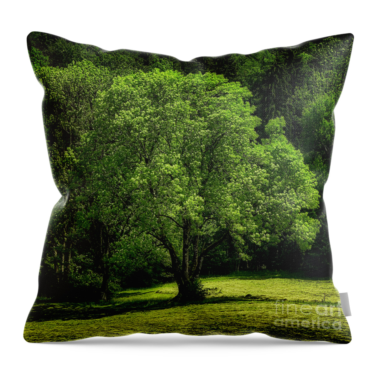 Nag005019 Throw Pillow featuring the photograph The Green of Summer by Edmund Nagele FRPS