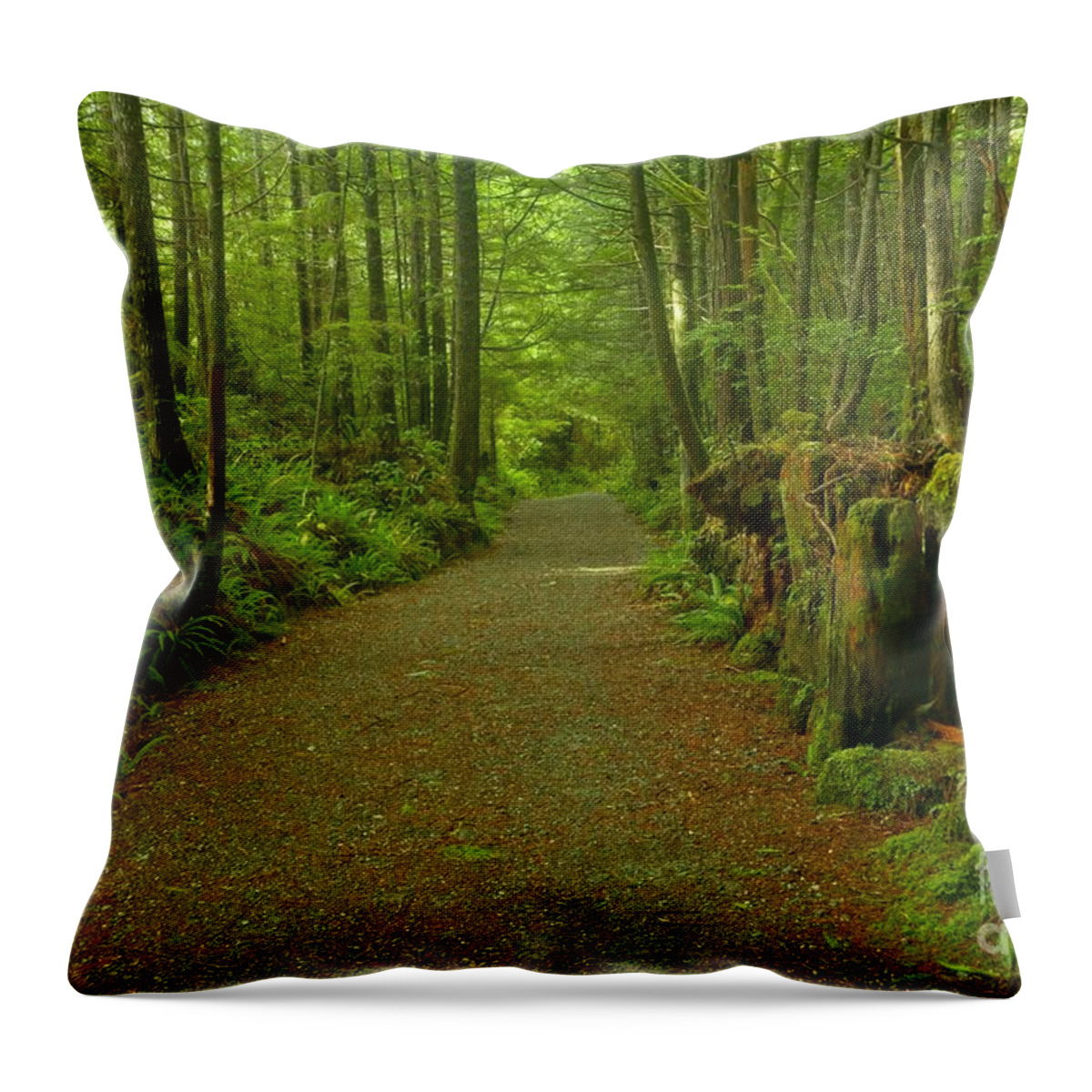 Willowbrae Throw Pillow featuring the photograph The Green Path At Pacific Rim by Adam Jewell
