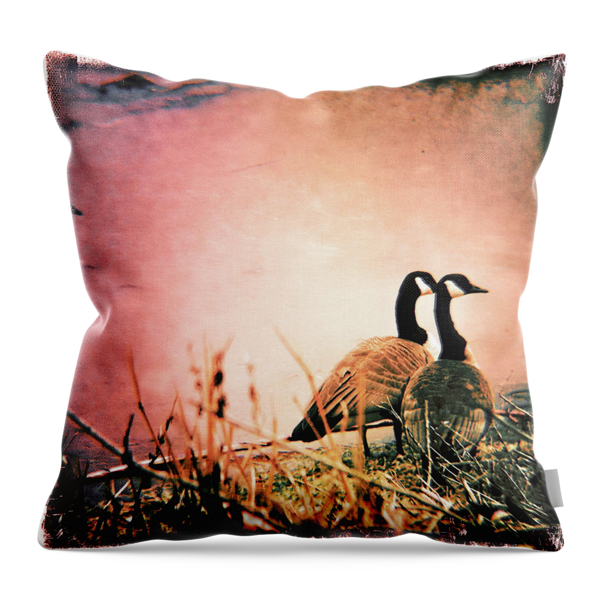 Geese Throw Pillow featuring the photograph The Guardians by Kevyn Bashore