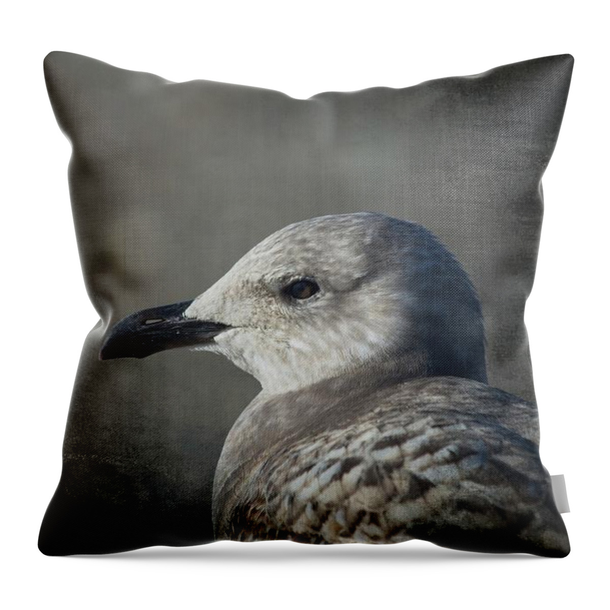 Juvenile Herring Gull Throw Pillow featuring the mixed media The Gull by Karol Livote