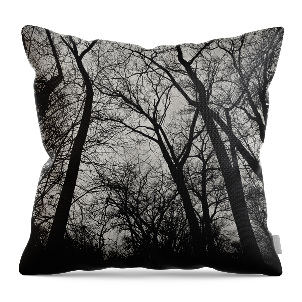 Monochrome Throw Pillow featuring the photograph The Haunt of Winter by CJ Schmit