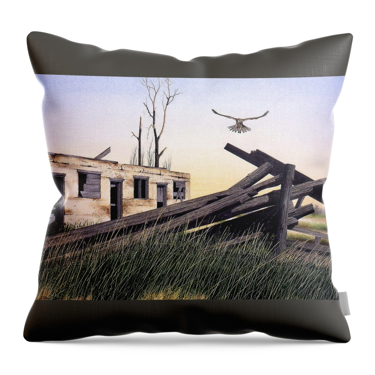 Summer Throw Pillow featuring the painting The Hawk by Conrad Mieschke
