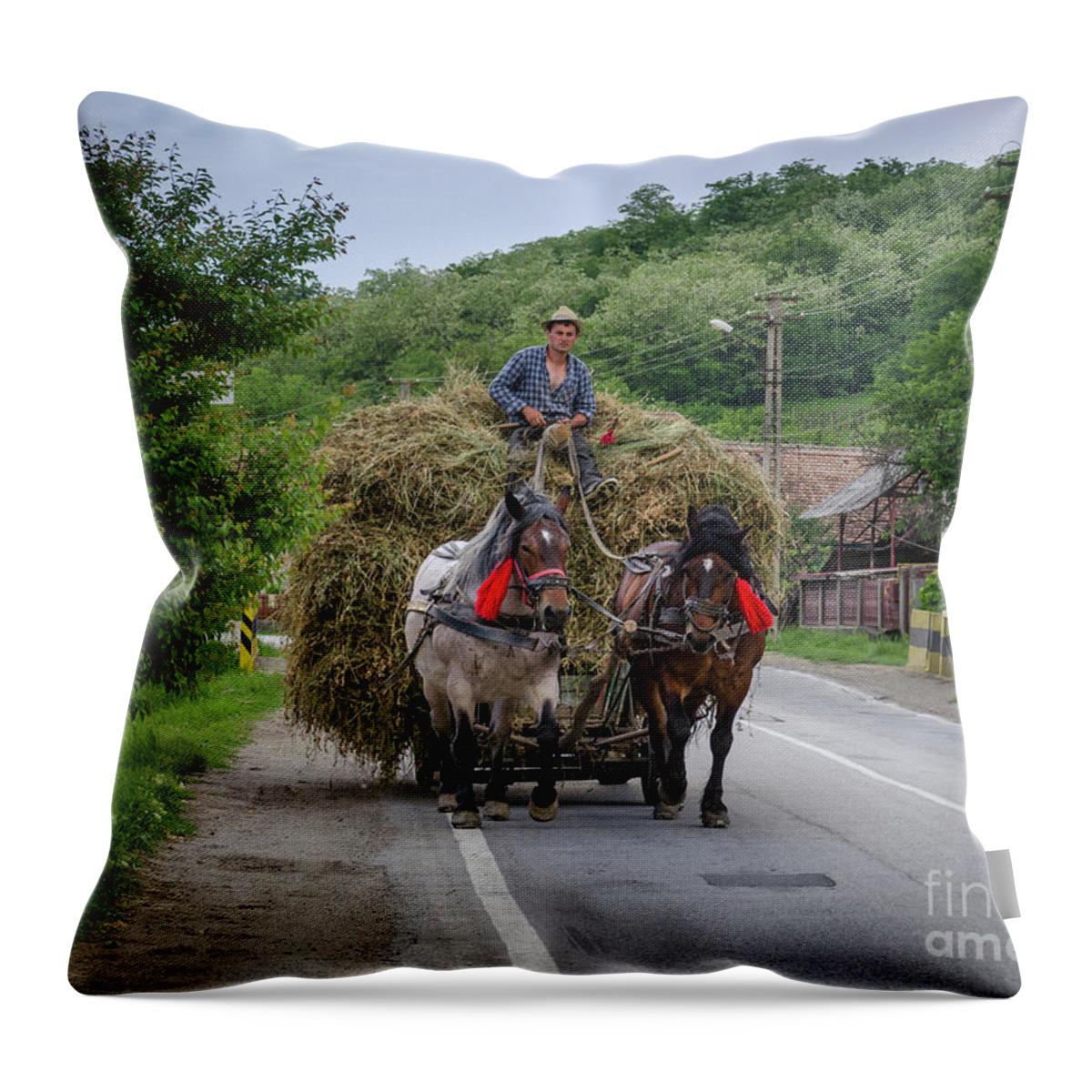 Hay Throw Pillow featuring the photograph The Hay Cart, Romania by Perry Rodriguez