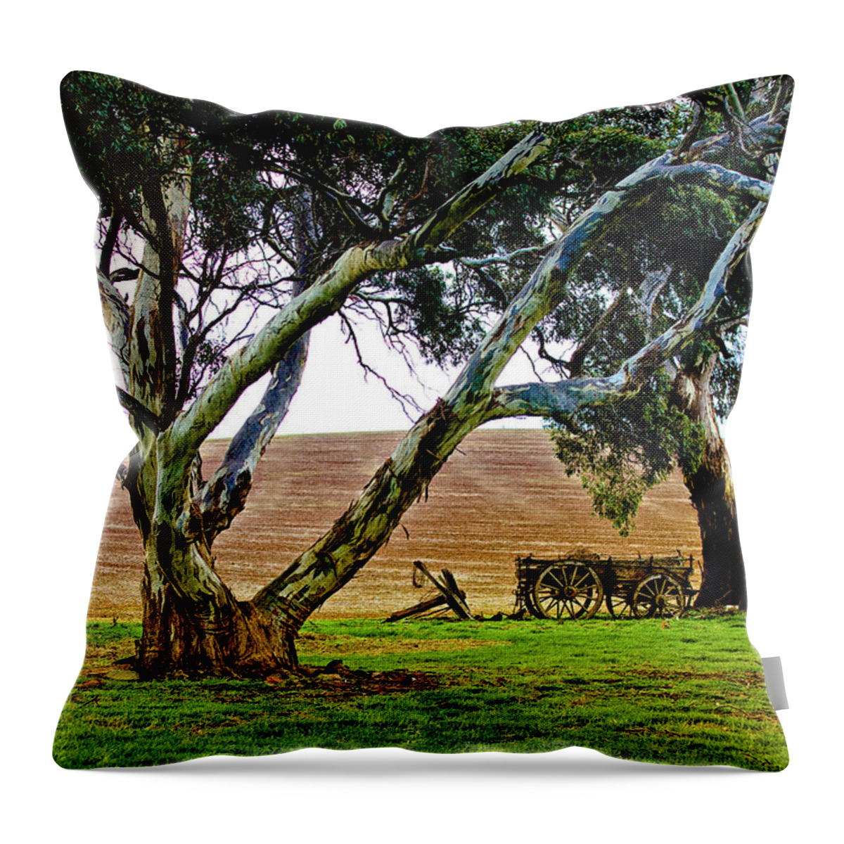 Burra Throw Pillow featuring the photograph The Hay Wagon by Mark Egerton