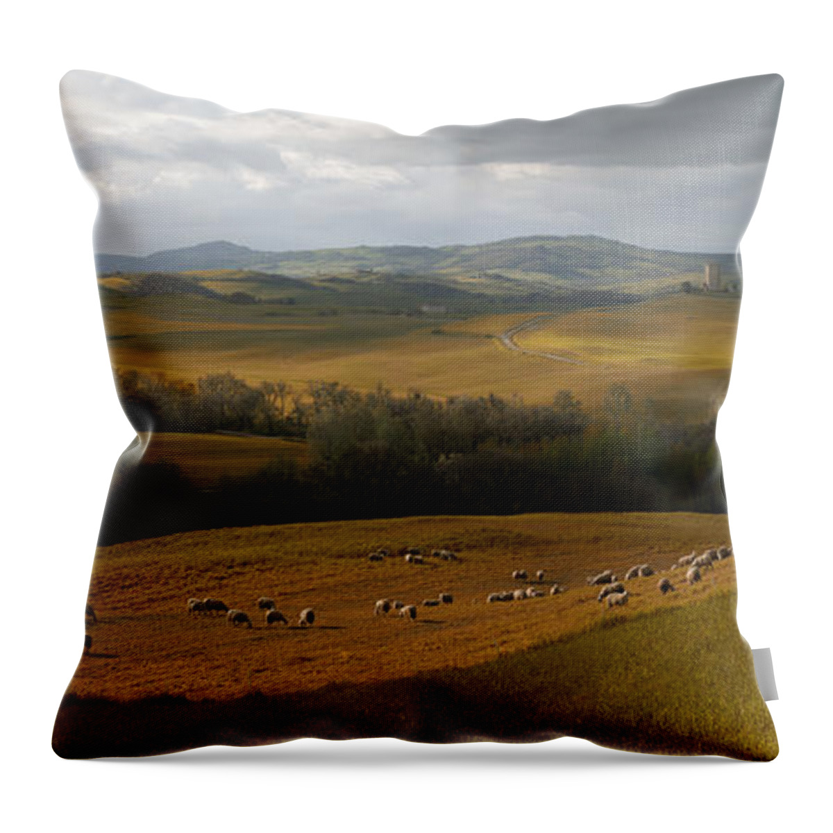 Toskany Throw Pillow featuring the photograph The heart of Toscany by Jaroslaw Blaminsky