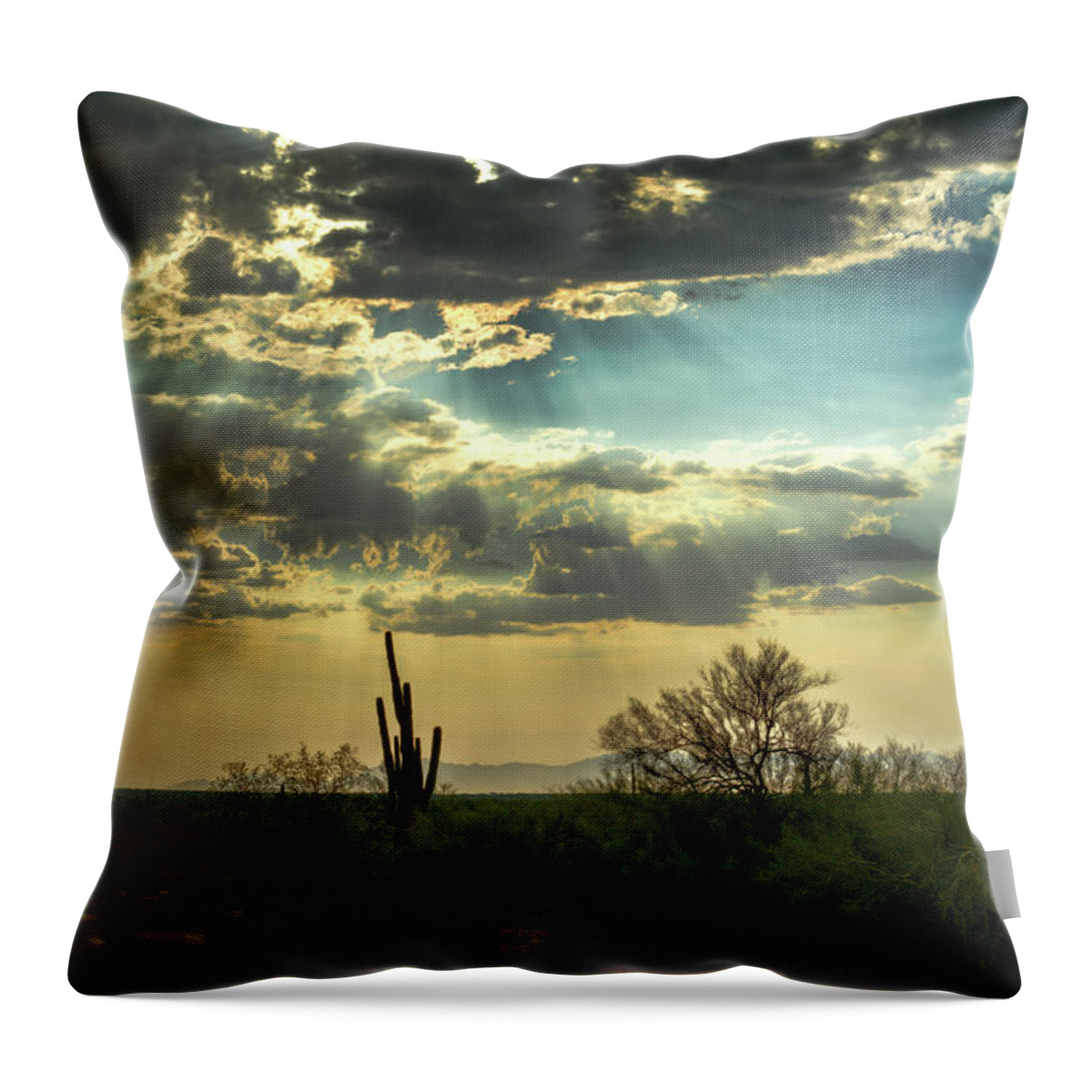 Arizona Throw Pillow featuring the photograph The Heavenly Desert Skies by Saija Lehtonen