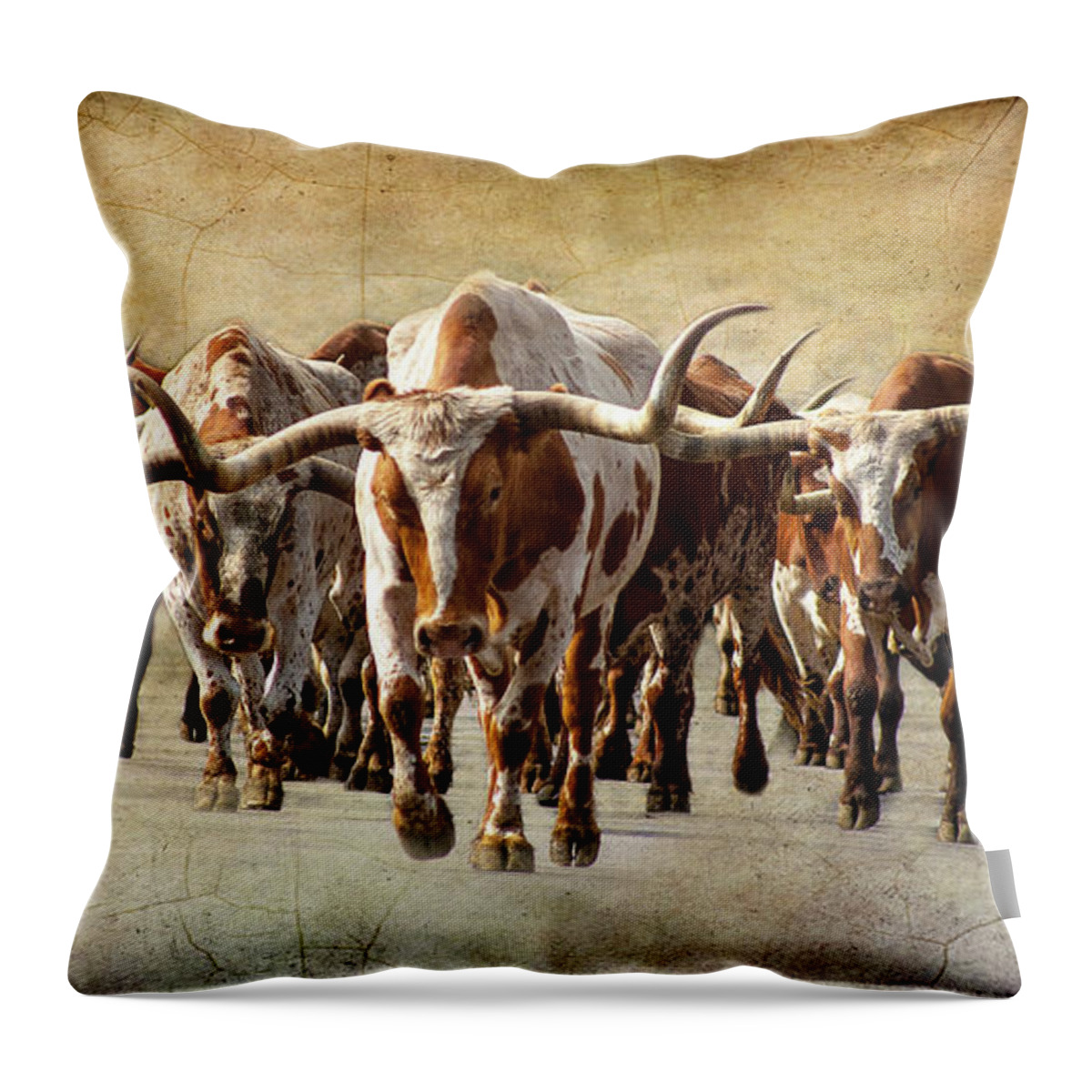 Cattle Throw Pillow featuring the photograph The Herd by Steven Reed