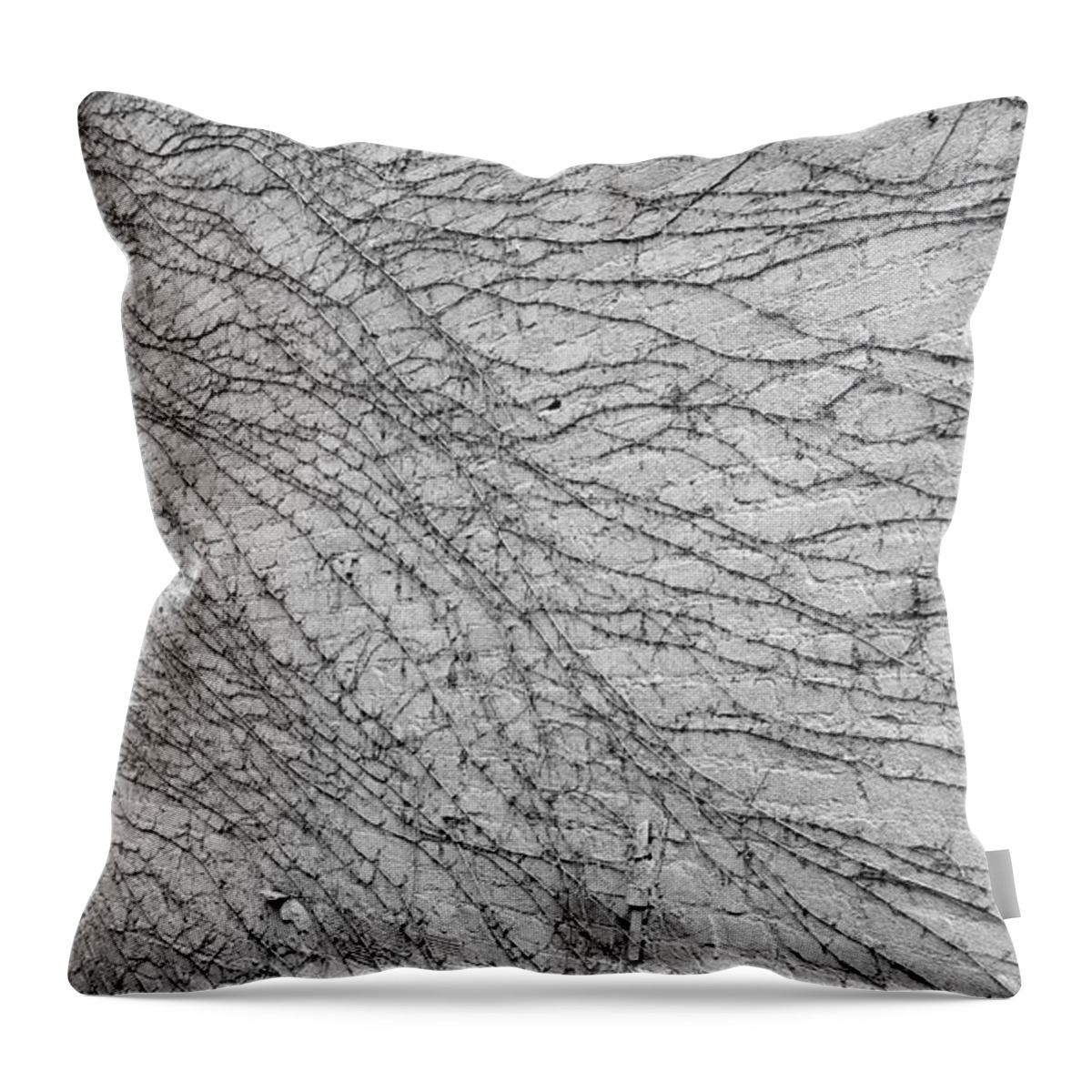 The High Line Throw Pillow featuring the photograph The High Line 139 by Rob Hans