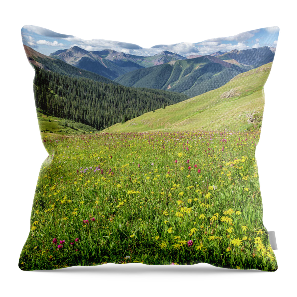 Wildflowers Throw Pillow featuring the photograph The Hills Are Alive by Denise Bush