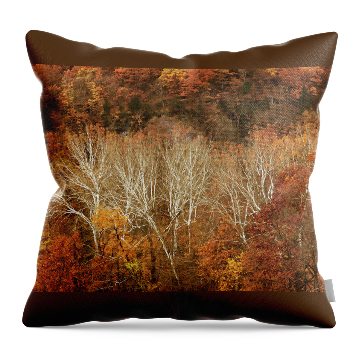 Hill Throw Pillow featuring the photograph The Hills in Autumn by Mitch Spence