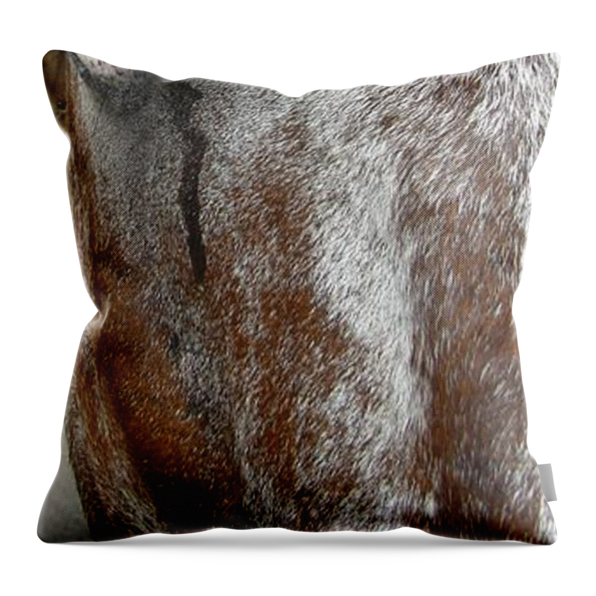 Horse Throw Pillow featuring the photograph The Horse by Carl Moore
