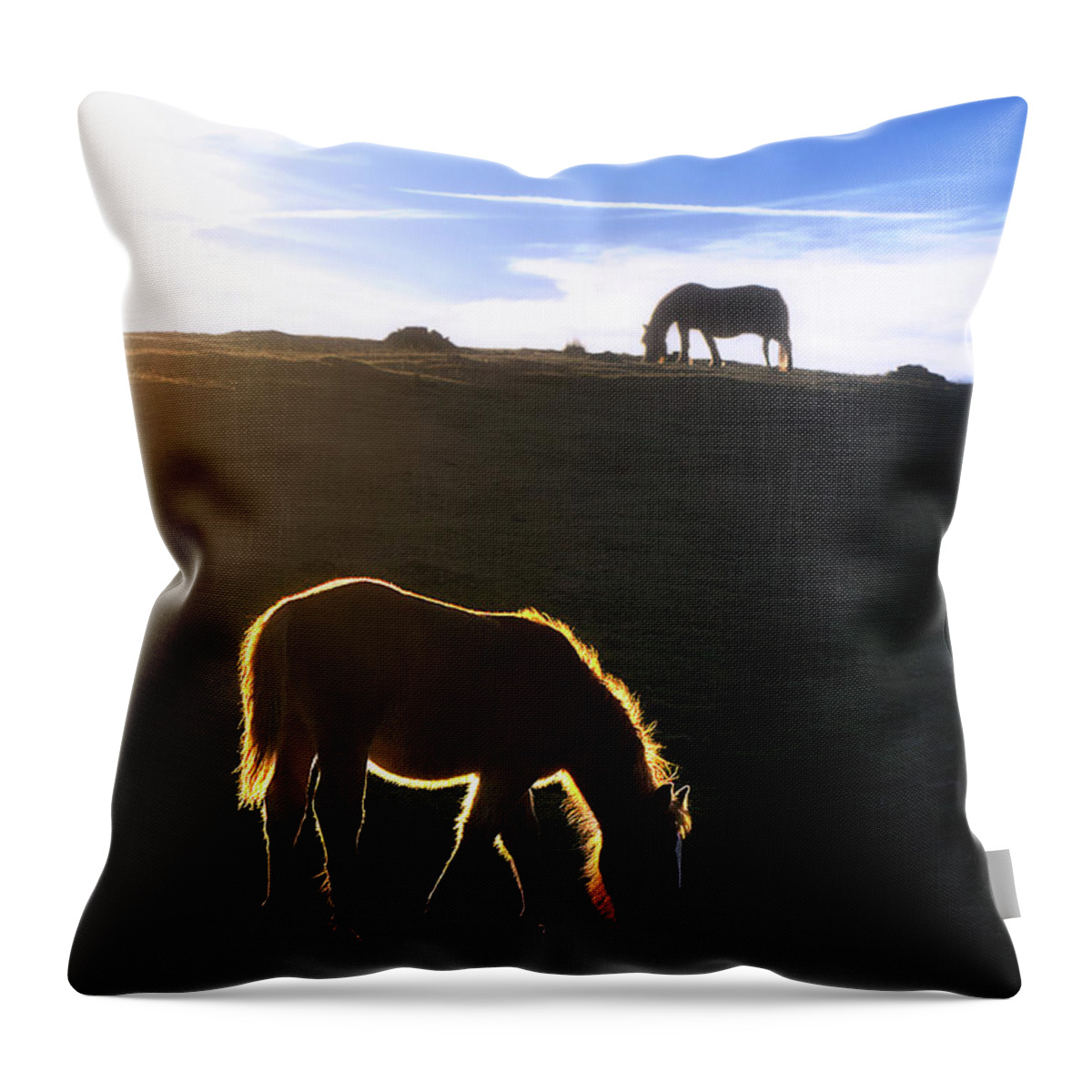 Horse Throw Pillow featuring the photograph The horse of golden hair by Mikel Martinez de Osaba
