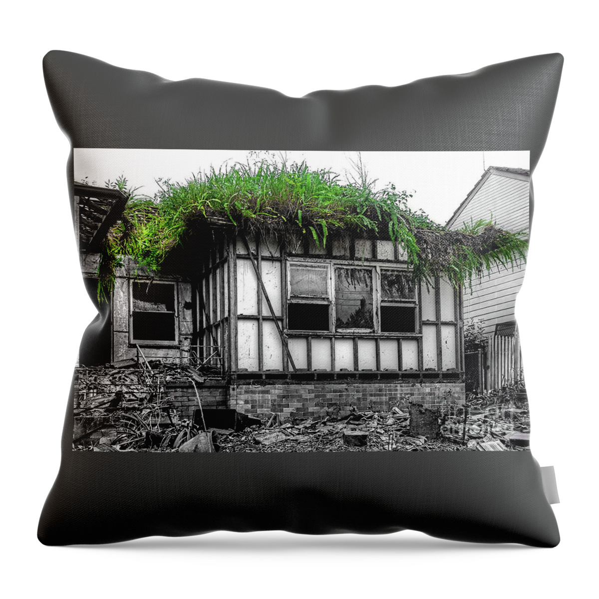 Photography Throw Pillow featuring the photograph The House of the Triffids by Kaye Menner by Kaye Menner