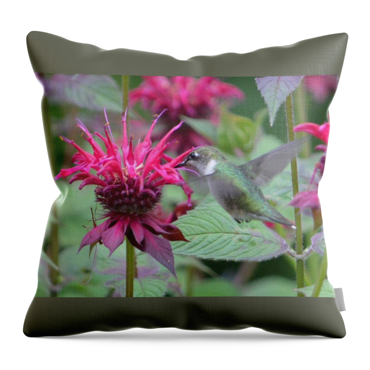 Leaves Throw Pillow featuring the photograph The Hummingbird Leaf by Lena Hatch