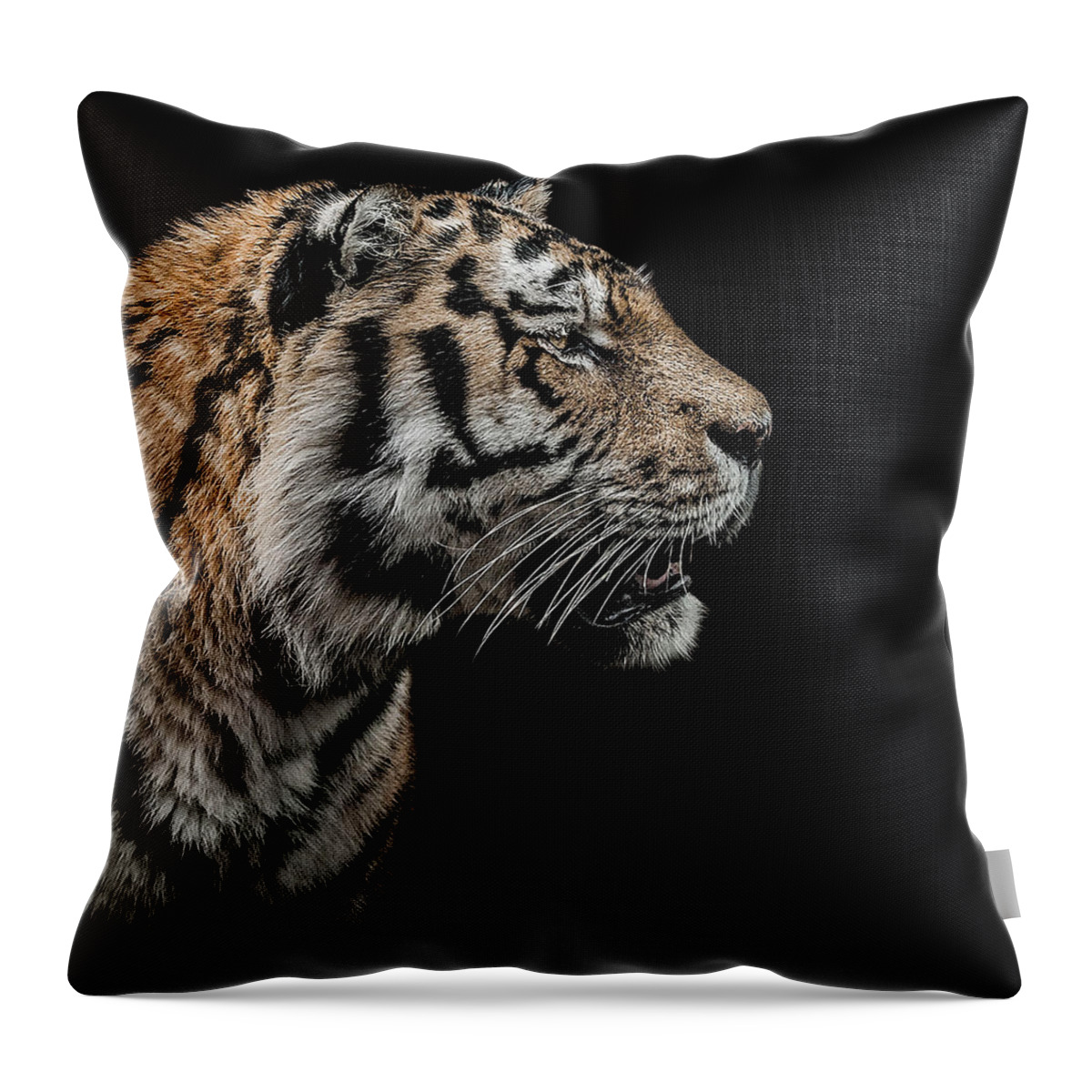 Low Key Throw Pillow featuring the photograph The Hunter by Paul Neville