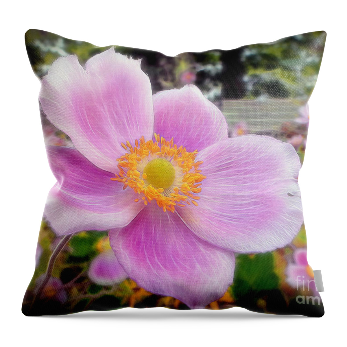 Flower Throw Pillow featuring the photograph The Jewel of the Garden by Sue Melvin